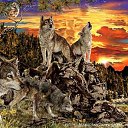 ���� ����, ������, 24 ���� - ��������� 19 ������ 2010 � ������ ���������