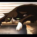 ���� �������, �������� - ��������� 30 ������ 2012 � ������ �������