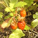 ���� ������, ������, 44 ���� - ��������� 4 ������� 2012 � ������ ���� ����������