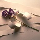 ���� �������, ����, 40 ��� - ��������� 7 ���� 2010 � ������ ������ ��� ��� )))�