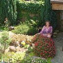  , , 50  -  10  2012   ,     