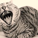 �������?! �� ������� ���� ���� � ������ ��������