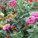 ������� ������-������ ���. �� ������� �����-2012.���