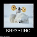 ���� �����, ������ - ��������� 6 ����� 2011 � ������ ������