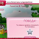   , -, 31  -  13  2010   PetLove