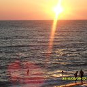  Alex, , 44  -  17  2010       