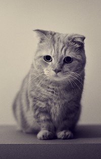 ���� ������, ����������, 29 ��� - ��������� 7 ��� 2013