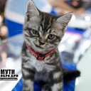���� Dj ������ ����, ������, 30 ��� - ��������� 8 ���� 2012 � ������ �������