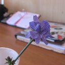 ���� �ir@ge))) ���������))), �������, 48 ��� - ��������� 5 ���� 2010 � ������ �������