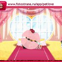  ,   -  2  2011   PetLove