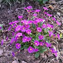 ���� �������, �������, 58 ��� - ��������� 15 �������� 2012 � ������ ��� �� ��� ������ �����������