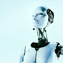 �����, ������������, 42 ����