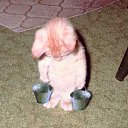 ���� �������, ������, 48 ��� - ��������� 23 ������� 2011 � ������ ���� ����������