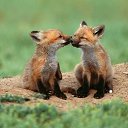   ( -        ,  -  27  2010      