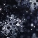 ���� ������, ������ �������� - ��������� 7 ���� 2013 � ������ ���� ����������