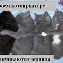 ���� ������, �������, 40 ��� - ��������� 13 ������� 2009 � ������ ����������� ��������, ������� ����������