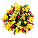 ���� �������, ������ - ��������� 7 ��� 2013 � ������ ���� ����������