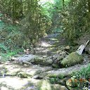 ���� �������, ����, 46 ��� - ��������� 1 ��� 2012 � ������ ����������� �������-�.����-�������� �������