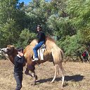 ���� ����, ���������, 35 ��� - ��������� 29 �������� 2012 � ������ ���� ����������