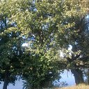 ���� ����, �������� - ��������� 11 ��� 2012 � ������ ��� �����