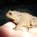  , -, 40  -  16  2011     