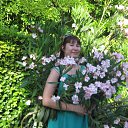 ��������� ������������ ��� �� ������� ������� 2013�