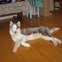 ���� ��������, ������, 52 ���� - ��������� 13 ����� 2012 � ������ ���� ����������