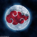 ���� ����, ������, 29 ��� - ��������� 8 ������� 2011