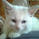 ���� Pavel, �����, 59 ��� - ��������� 15 ����� 2012 � ������ ���� ����������