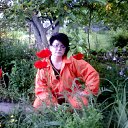 ���� ����, ������������ - ��������� 12 ���� 2010 � ������ ���� ����������