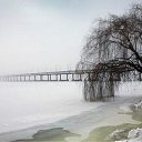  ,  -  11  2012     .