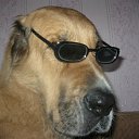 ���� ���������, ������-���, 43 ���� - ��������� 11 ������� 2012