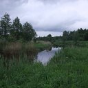  , , 36  -  31  2010    2010