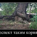 ���� ����, ������, 42 ���� - ��������� 24 ������� 2012 � ������ �������