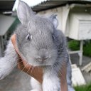 ���� ������, ����������, 54 ���� - ��������� 28 ������� 2010 � ������ �������