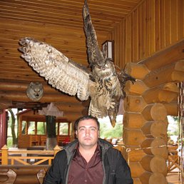 , 45, 