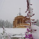 ���� ����, ����������, 51 ��� - ��������� 5 ������� 2012