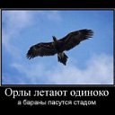  Oleg, , 46  -  11  2011   