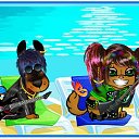  (  ),  , 54  -  9  2010    