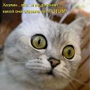 ���� ������, ����, 42 ���� - ��������� 25 ������ 2012 � ������ ���� ����������