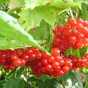  Zima,  -  12  2012   -