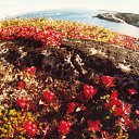  ,  -  22  2012    ߻