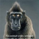 ���� ���, ���, 25 ��� - ��������� 14 ������ 2010 � ������ ���������