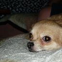 ���� Delissima07, �����-���������, 41 ��� - ��������� 19 ������ 2012 � ������ ���� ����������