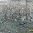  Evgeniy, , 53  -  10  2012