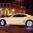 ���� ������, �����-��������� - ��������� 3 ������� 2012 � ������ ���� ����������