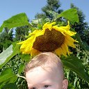 ���� ������, �����������-��-�����, 49 ��� - ��������� 2 �������� 2012 � ������ �������