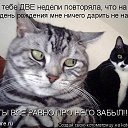  Annet,  -  4  2011   л