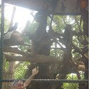 ���� �����, ���� - ��������� 26 ������ 2011 � ������ ���� ����������