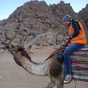 ���������) �� ������� �Sarm el Sheikh�